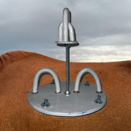 PRISKA ENGELHARDT